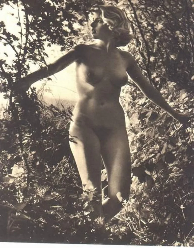 Escort Light